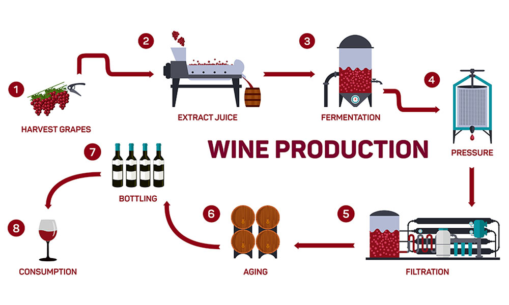 Wine-production-diagram